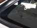 2021 Acura TLX Passenger Quarter Window Glass 73500 TGV A11 Replacement 2021 Acura TLX Passenger Quarter Window Glass 73500 TGV A11 Replacement thumbnail