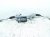 2023 Honda Accord And / Gear Box Power Steering Rack & Pinion 53620 30B D01 Replacement 2023 Honda Accord And / Gear Box Power Steering Rack & Pinion 53620 30B D01 Replacement thumbnail