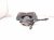2023 Honda Accord Core Front Driver Brake Caliper 45002 30B A01 Replacement 2023 Honda Accord Core Front Driver Brake Caliper 45002 30B A01 Replacement thumbnail