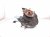 2023 Honda Accord Front Driver Spindle Knuckle Hub 51216 TVA A02 Replacement 2023 Honda Accord Front Driver Spindle Knuckle Hub 51216 TVA A02 Replacement thumbnail