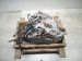 2023 Honda Accord Automatic Transmission = Mi 20041 6MR A02 Replacement 2023 Honda Accord Automatic Transmission = Mi 20041 6MR A02 Replacement thumbnail