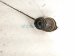 2022 Lexus Ux250h Rear Driver Cv Axle Drive Shaft 42340 76010 Replacement 2022 Lexus Ux250h Rear Driver Cv Axle Drive Shaft 42340 76010 Replacement thumbnail