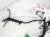 2025 Honda CR V Dash Instrument Wire Harness Hyb 32117 3D0 A11 Replacement 2025 Honda CR V Dash Instrument Wire Harness Hyb 32117 3D0 A11 Replacement thumbnail