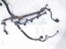 2017 Honda Accord Engine Wire Harness 2.4l At Fwd 32110 5A2 A74 Replacement 2017 Honda Accord Engine Wire Harness 2.4l At Fwd 32110 5A2 A74 Replacement thumbnail