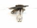 2024 Volkswagen Tiguan Front Driver Spindle Knuckle Hub Fwd 5Q0 407 621 F Replacement 2024 Volkswagen Tiguan Front Driver Spindle Knuckle Hub Fwd 5Q0 407 621 F Replacement thumbnail