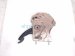 2017 Chevy Malibu Parking Brake Pedal Assy Driver 84249775 Replacement 2017 Chevy Malibu Parking Brake Pedal Assy Driver 84249775 Replacement thumbnail