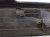2025 Toyota Tacoma Driver Bed Molding Black 66248 AK010 Replacement 2025 Toyota Tacoma Driver Bed Molding Black 66248 AK010 Replacement thumbnail