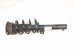 2024 Volkswagen Tiguan Front Driver Strut + Spring 5QF 413 031 AR Replacement 2024 Volkswagen Tiguan Front Driver Strut + Spring 5QF 413 031 AR Replacement thumbnail