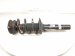 2024 Volkswagen Tiguan Front Passenger Strut + Spring 5QF 413 031 AR Replacement 2024 Volkswagen Tiguan Front Passenger Strut + Spring 5QF 413 031 AR Replacement thumbnail