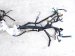 2018 Honda Civic Dash Instrument Wire Harness type R 32117 TGH A21 Replacement 2018 Honda Civic Dash Instrument Wire Harness type R 32117 TGH A21 Replacement thumbnail
