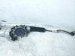 2018 Honda Clarity And / Gear Box Power Steering Rack & Pinion 53650 TRW F43 Replacement 2018 Honda Clarity And / Gear Box Power Steering Rack & Pinion 53650 TRW F43 Replacement thumbnail