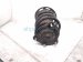 2018 Honda Clarity Front Driver Strut Absorber + Spring 51621 TRW A01 Replacement 2018 Honda Clarity Front Driver Strut Absorber + Spring 51621 TRW A01 Replacement thumbnail