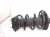 2018 Honda Clarity Front Passenger Strut Absorber + Spring 51611 TRW A01 Replacement 2018 Honda Clarity Front Passenger Strut Absorber + Spring 51611 TRW A01 Replacement thumbnail