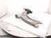 2018 Honda Clarity Front Passenger Lower Control Arm 51350 TRT A01 Replacement 2018 Honda Clarity Front Passenger Lower Control Arm 51350 TRT A01 Replacement thumbnail