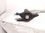 2018 Honda Clarity Front Passenger Lower Control Arm 51350 TRT A01 Replacement 2018 Honda Clarity Front Passenger Lower Control Arm 51350 TRT A01 Replacement thumbnail
