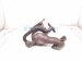 2018 Honda Clarity Exhaust Manifold 18190 5WJ A00 Replacement 2018 Honda Clarity Exhaust Manifold 18190 5WJ A00 Replacement thumbnail