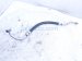 2024 Toyota Rav 4 Ac A/c Line Hose Pipe 2.5l Awd 88704 0R260 Replacement 2024 Toyota Rav 4 Ac A/c Line Hose Pipe 2.5l Awd 88704 0R260 Replacement thumbnail