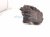 2018 Toyota Tacoma Front Driver Brake Caliper 47750 04092 Replacement 2018 Toyota Tacoma Front Driver Brake Caliper 47750 04092 Replacement thumbnail
