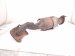 2018 Toyota Tacoma Driver Exhaust Manifold 17150 0P320 Replacement 2018 Toyota Tacoma Driver Exhaust Manifold 17150 0P320 Replacement thumbnail