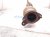 2018 Toyota Tacoma Driver Exhaust Manifold 17150 0P320 Replacement 2018 Toyota Tacoma Driver Exhaust Manifold 17150 0P320 Replacement thumbnail