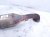2018 Toyota Tacoma Passenger Exhaust Manifold 17410 0P560 Replacement 2018 Toyota Tacoma Passenger Exhaust Manifold 17410 0P560 Replacement thumbnail