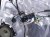 2018 Toyota Tacoma Rear Passenger Door Silver No Inside Trim 67003 04121 Replacement 2018 Toyota Tacoma Rear Passenger Door Silver No Inside Trim 67003 04121 Replacement thumbnail