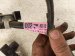 2022 Lexus Ux250h Front Bumper Wire Harness 82113 76060 Replacement 2022 Lexus Ux250h Front Bumper Wire Harness 82113 76060 Replacement thumbnail