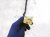 2021 Acura TLX Dash Instrument Wire Harness Types 32117 TGZ A00 Replacement 2021 Acura TLX Dash Instrument Wire Harness Types 32117 TGZ A00 Replacement thumbnail