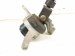 2022 Honda Odyssey Engine/motor Passenger Engine Side Mount 3.5l Fwd 50820 TZ5 A02 Replacement 2022 Honda Odyssey Engine/motor Passenger Engine Side Mount 3.5l Fwd 50820 TZ5 A02 Replacement thumbnail