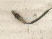 2022 Honda Odyssey Oxygen Front Exhaust Manifold Laf Sensor 36531 5MR A01 Replacement 2022 Honda Odyssey Oxygen Front Exhaust Manifold Laf Sensor 36531 5MR A01 Replacement thumbnail