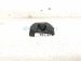 2019 BMW 330i Rear View Backup Camera 66 51 7 911 468 Replacement 2019 BMW 330i Rear View Backup Camera 66 51 7 911 468 Replacement thumbnail