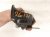 2022 Honda Odyssey High Note Horn 38150 T6A J01 Replacement 2022 Honda Odyssey High Note Horn 38150 T6A J01 Replacement thumbnail