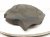 2022 Honda Odyssey Engine Appearance Cover 3.5l 17121 5MR A11 Replacement 2022 Honda Odyssey Engine Appearance Cover 3.5l 17121 5MR A11 Replacement thumbnail