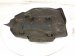 2022 Honda Odyssey Engine Appearance Cover 3.5l 17121 5MR A11 Replacement 2022 Honda Odyssey Engine Appearance Cover 3.5l 17121 5MR A11 Replacement thumbnail