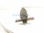 2022 Honda Odyssey Strut / Spring / Rear Driver Shock Absorber 52610 THR A12 Replacement 2022 Honda Odyssey Strut / Spring / Rear Driver Shock Absorber 52610 THR A12 Replacement thumbnail