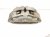 2020 Land Rover Range Rover Sport Front Driver Brake Caliper LR110408 Replacement 2020 Land Rover Range Rover Sport Front Driver Brake Caliper LR110408 Replacement thumbnail