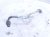 2022 Honda HR V Egr Pipe 1.8l Awd 18717 RNA A00 Replacement 2022 Honda HR V Egr Pipe 1.8l Awd 18717 RNA A00 Replacement thumbnail