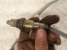 2019 BMW 330i Rear Oxygen Sensor 2.0l 11788631049 Replacement 2019 BMW 330i Rear Oxygen Sensor 2.0l 11788631049 Replacement thumbnail