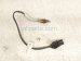 2019 BMW 330i Front Oxygen Sensor 2.0l 11788631047 Replacement 2019 BMW 330i Front Oxygen Sensor 2.0l 11788631047 Replacement thumbnail