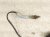 2019 BMW 330i Front Oxygen Sensor 2.0l 11788631047 Replacement 2019 BMW 330i Front Oxygen Sensor 2.0l 11788631047 Replacement thumbnail