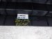2022 Honda HR V Rear Cargo Scuff Sill Trim Blk 84640 T7X A01ZA Replacement 2022 Honda HR V Rear Cargo Scuff Sill Trim Blk 84640 T7X A01ZA Replacement thumbnail