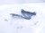 2024 Hyundai Sonata Driver Hood Hinge Blue 66910 L1000 Replacement 2024 Hyundai Sonata Driver Hood Hinge Blue 66910 L1000 Replacement thumbnail