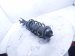 2022 Honda HR V Front Driver Strut + Spring 51621 T7W A72 Replacement 2022 Honda HR V Front Driver Strut + Spring 51621 T7W A72 Replacement thumbnail