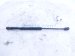 2021 Nissan Maxima Passenger Tailgate Lift Support Strut 65470 4RA0A Replacement 2021 Nissan Maxima Passenger Tailgate Lift Support Strut 65470 4RA0A Replacement thumbnail