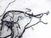 2018 Honda Clarity Dash Instrument Wire Harness Fwd 32117 TRW A00 Replacement 2018 Honda Clarity Dash Instrument Wire Harness Fwd 32117 TRW A00 Replacement thumbnail