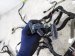 2018 Honda Clarity Dash Instrument Wire Harness Fwd 32117 TRW A00 Replacement 2018 Honda Clarity Dash Instrument Wire Harness Fwd 32117 TRW A00 Replacement thumbnail