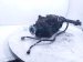 2022 Honda HR V Rear Differential 1.8l Awd 41200 54A J00 Replacement 2022 Honda HR V Rear Differential 1.8l Awd 41200 54A J00 Replacement thumbnail