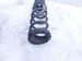 2024 Hyundai Sonata Strut / / Shock Absorber Rear Passenger Coil Spring 2.5l Fwd 55340 L1100 Replacement 2024 Hyundai Sonata Strut / / Shock Absorber Rear Passenger Coil Spring 2.5l Fwd 55340 L1100 Replacement thumbnail