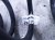 2024 Hyundai Sonata Strut / / Shock Absorber Rear Passenger Coil Spring 2.5l Fwd 55343 L1100 Replacement 2024 Hyundai Sonata Strut / / Shock Absorber Rear Passenger Coil Spring 2.5l Fwd 55343 L1100 Replacement thumbnail