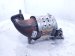 2024 Hyundai Sonata Catalytic Exhaust Manifold W/conv 2.5l Fwd 28510 2SER0 Replacement 2024 Hyundai Sonata Catalytic Exhaust Manifold W/conv 2.5l Fwd 28510 2SER0 Replacement thumbnail